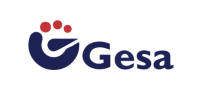 topmashinionline Gesa logo